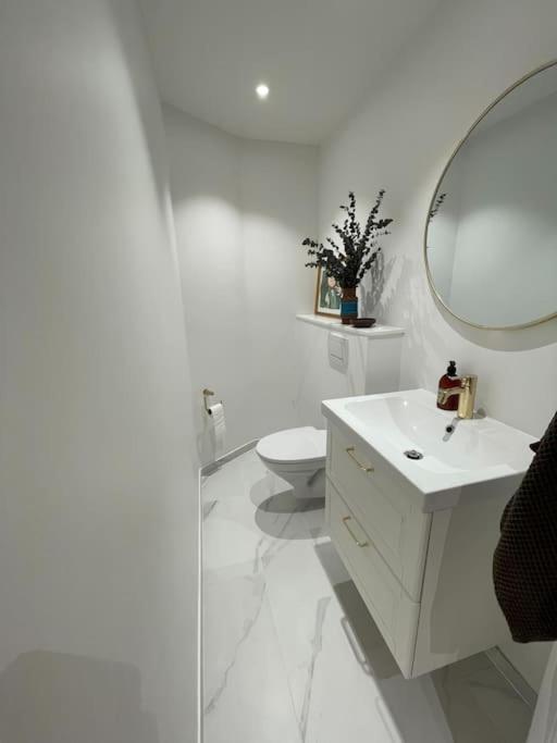 Nyrenoveret Charmerende Lejlighed I Odense C!公寓 外观 照片